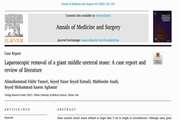 .Laparoscopic removal of a giant middle ureteral stone: A case report and review of literature